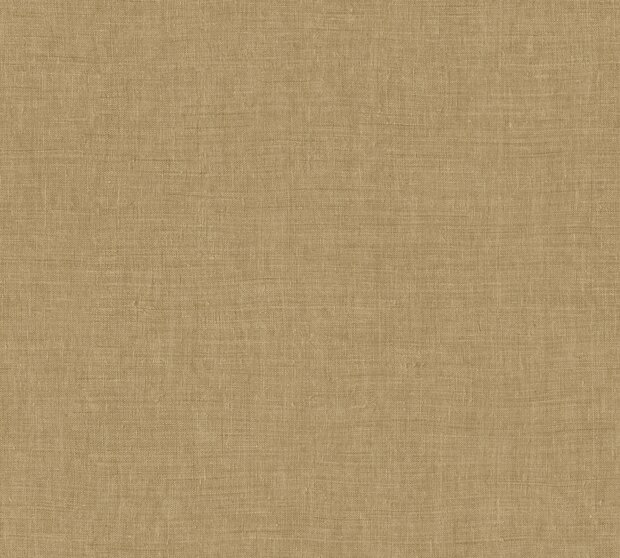 Arte INDIENNE 18350 MANDU