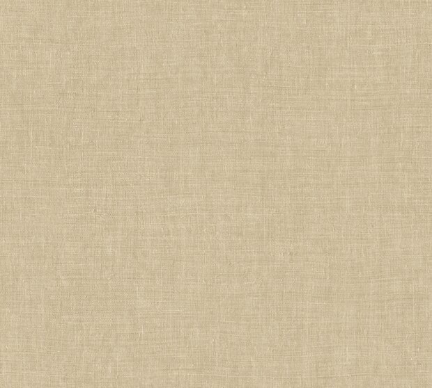 Arte INDIENNE 18351 MANDU