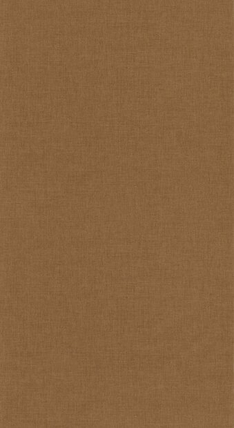 Caselio Maison Simeon MSI103222042 Bruin