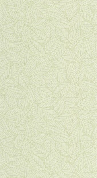 Caselio Elea ELEA107347004 Groen