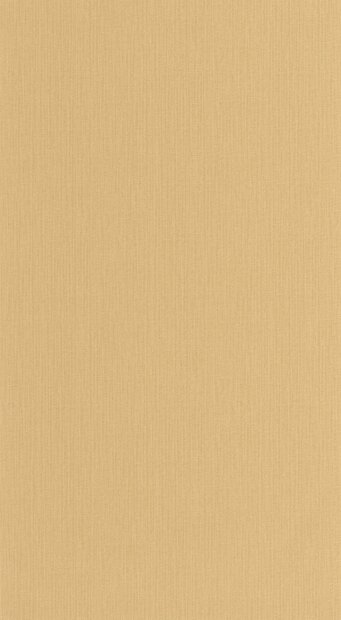 Caselio Natt&eacute; 2 NAE2101561220 Beige