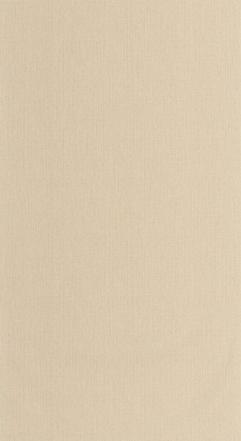 Caselio Natt&eacute; 2 NAE2101561464 Beige