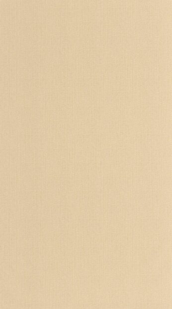 Caselio Natt&eacute; 2 NAE2101561515 Beige