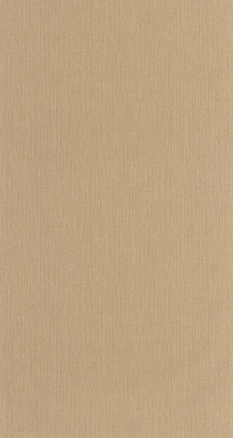 Caselio Natt&eacute; 2 NAE2101561670 Beige