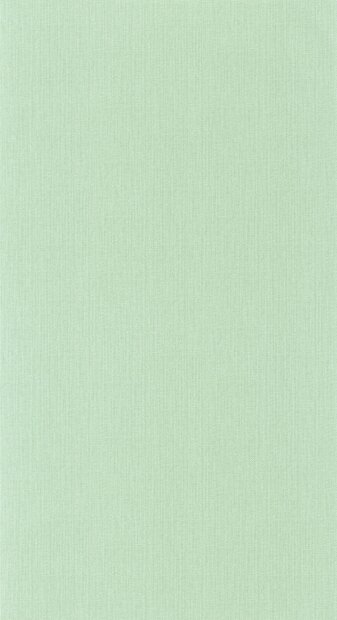 Caselio Natt&eacute; 2 NAE2101567001 Groen