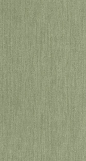 Caselio Natt&eacute; 2 NAE2101567450 Groen