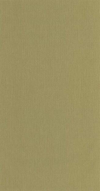 Caselio Natt&eacute; 2 NAE2101567507 Groen