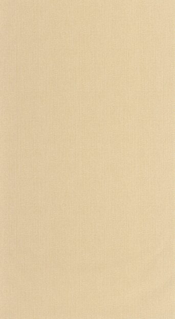 Caselio Natt&eacute; 2 NAE2101571050 Beige