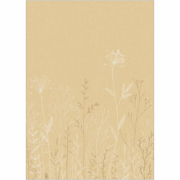 Caselio Moonlight 3 MNL3107221003 Beige