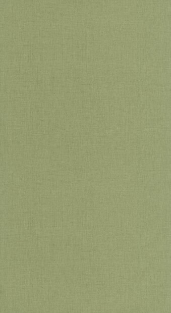 Caselio Kitchen Box KBO103227864 Groen