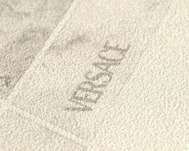 AS Creation Versace VI / 6 79133-1 Grijs