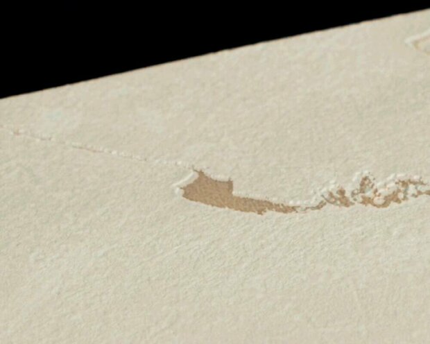 AS Creation Versace VI / 6 79174-1 Zwart