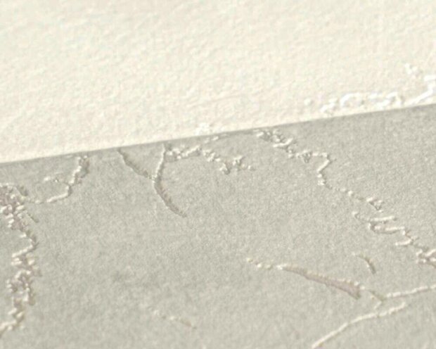 AS Creation Versace VI / 6 79174-5 Grijs