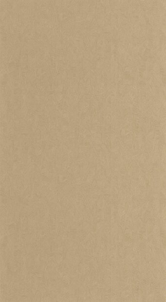 Casadeco Rituel RITU201971433 Beige