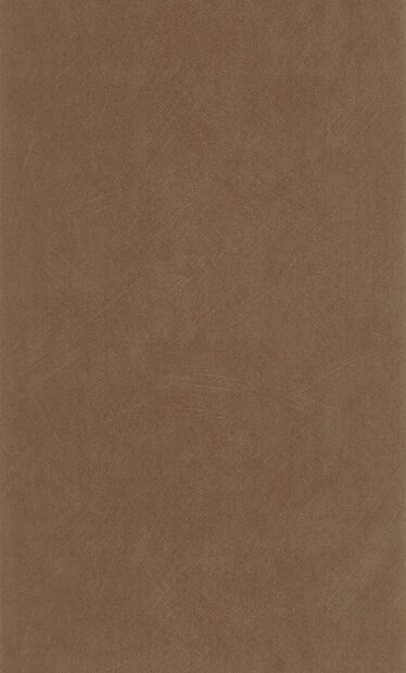 Casadeco So Color 6 SOCO201002808 Bruin