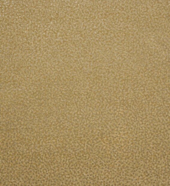Noordwand Tesoro 65586 Geel