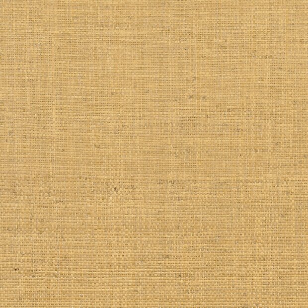 Casamance Tramis A71170557 Beige