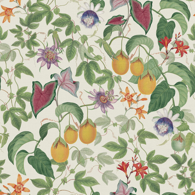 Dutch First Class The Bloom Collection 100307OL  (incl. Gratis Lijm*)