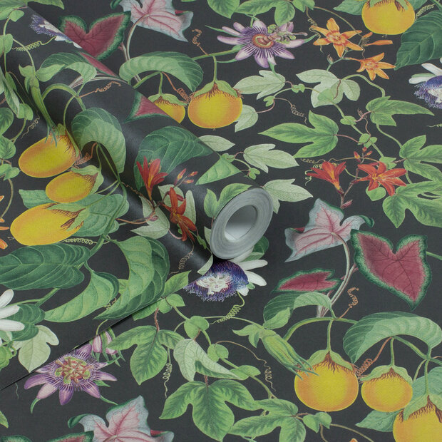 Dutch First Class The Bloom Collection  100308OL