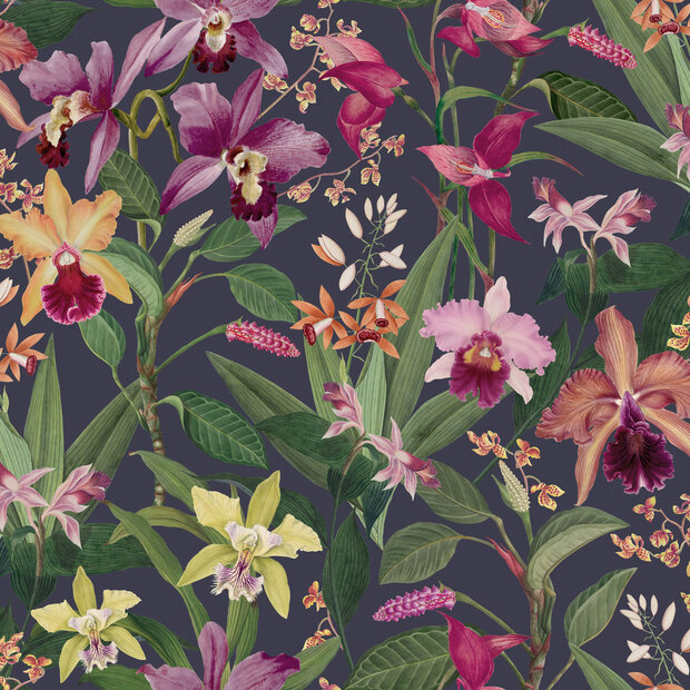 Dutch First Class The Bloom Collection 100299OL  (incl. Gratis Lijm*)