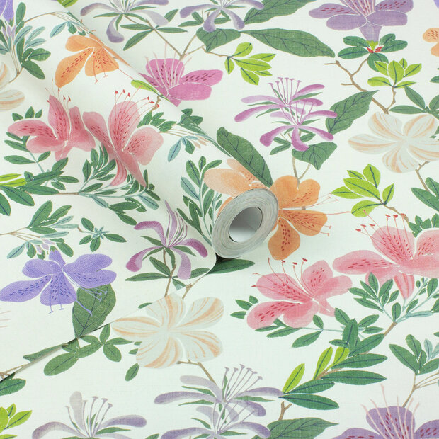 Dutch First Class The Bloom Collection  100300OL