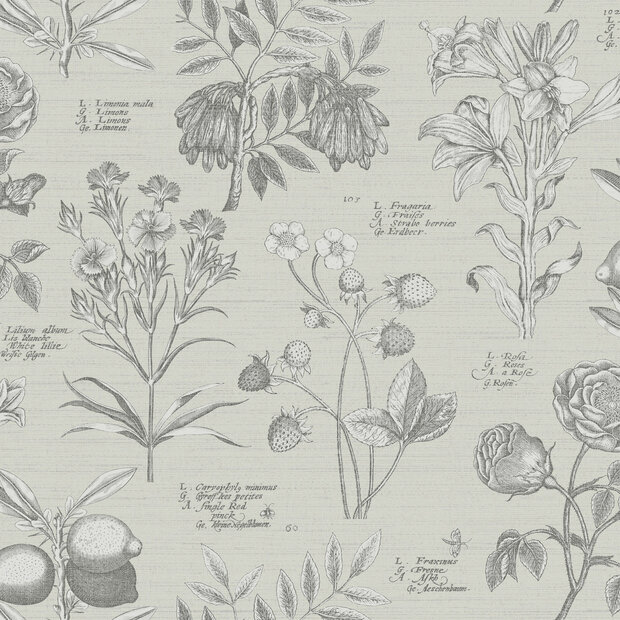 Dutch First Class The Bloom Collection 100293OL  (incl. Gratis Lijm*)