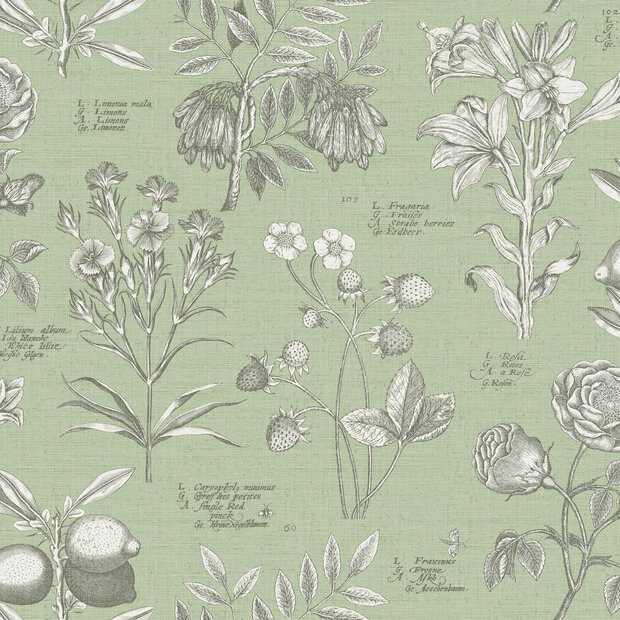 Dutch First Class The Bloom Collection 100294OL  (incl. Gratis Lijm*)