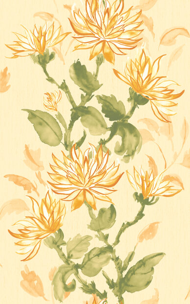 Dutch First Class Hanashi HAN50126W  (incl. Gratis Lijm*)