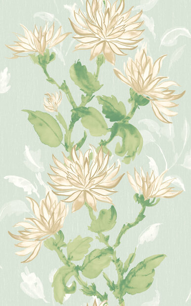 Dutch First Class Hanashi HAN50128W  (incl. Gratis Lijm*)