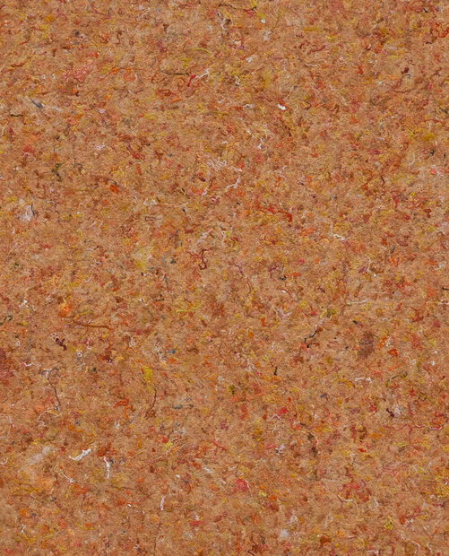 Eijffinger Felt 350811 Oranje (incl. Gratis Lijm*)