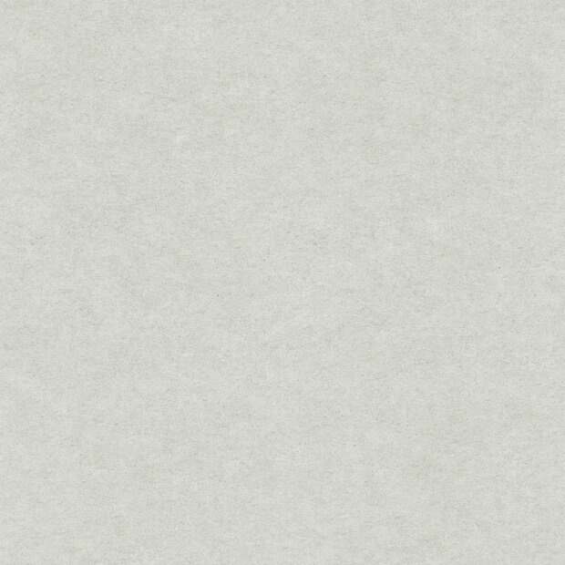 Noordwand Hohenberger Line &amp; Leaf 27988 Wit