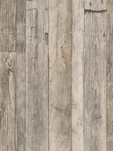 AS Creation Elements 95931-2 - 959312 Beige / Bruin