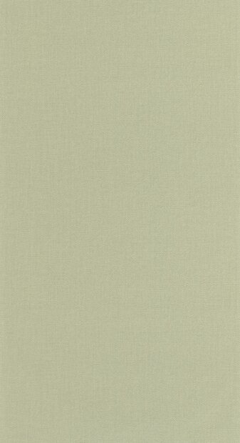 Caselio Cocoon 107997397 Groen (incl. Gratis Lijm*)