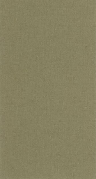 Caselio Cocoon 107997570 Groen (incl. Gratis Lijm*)