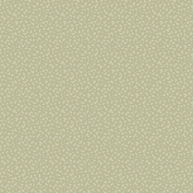 Caselio Forma 107987046 Groen (incl. Gratis Lijm*)