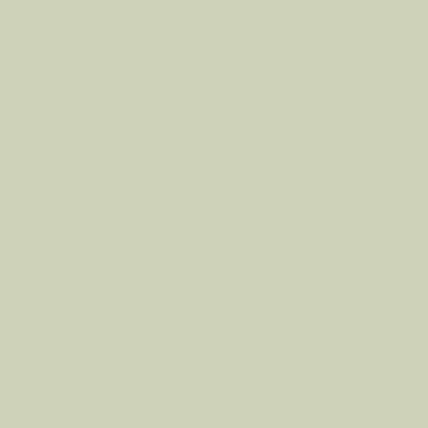 Caselio Forma 64527210 Groen (incl. Gratis Lijm*)