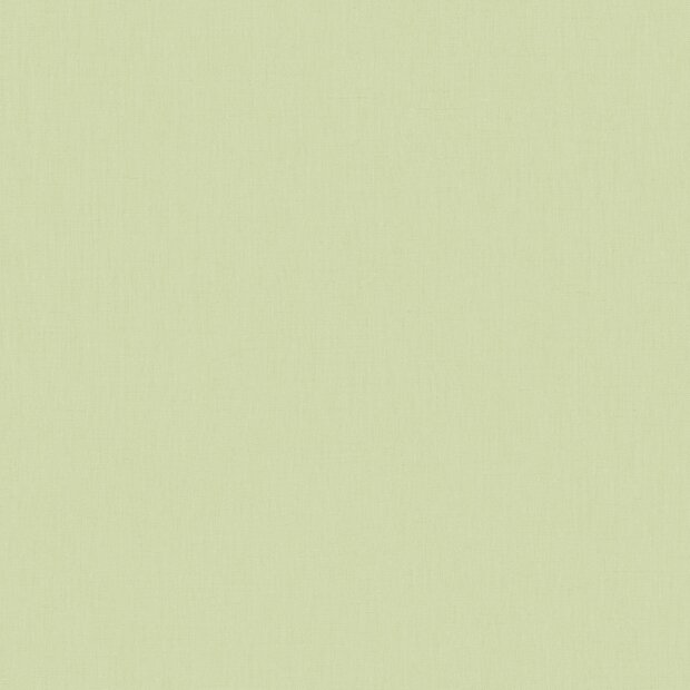 Caselio Forma 64527721 Groen (incl. Gratis Lijm*)