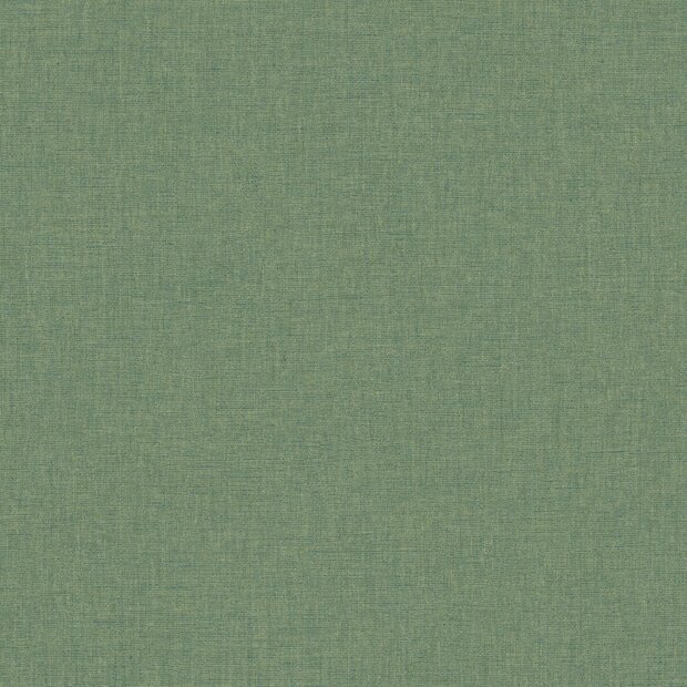 Caselio Solstice 103227660 Groen (incl. Gratis Lijm*)