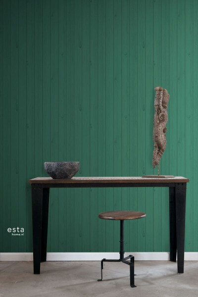 Esta Greenhouse 128853 (incl. Gratis Lijm*)