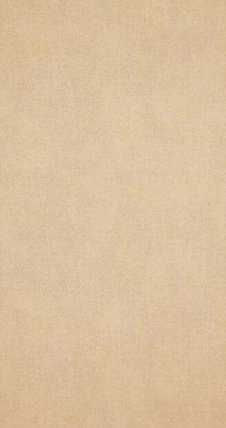 BN Indian Summer 218546