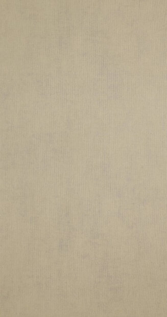 BN Color Stories Chapter Three 218508 - Beige - Bruin