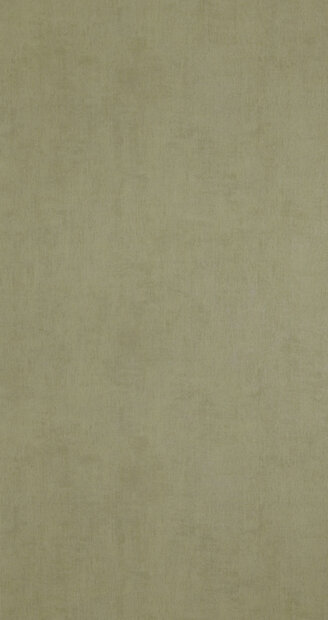 BN Color Stories 218512 - Groen