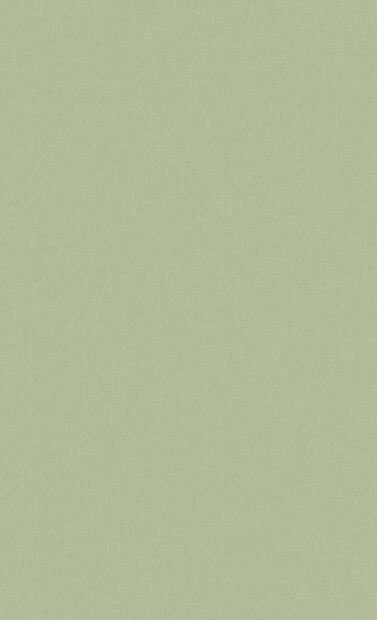 BN Wallcoverings Timeless Stories 219223 - Groen