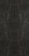 BN Wallcoverings Curious / Inspire 17950 - Zwart Behang