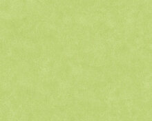 AS Creation Neue Bude 2.0 36206-7 - Groen Behang