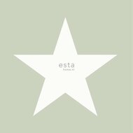 Esta Regatta Crew - Surf Edition 138948 - Groen Behang