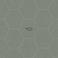 Esta Blush 148751 - Groen Behang
