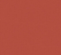 AS Creation Ethnic Origin 37178-5 | 371785 - Rood Behang