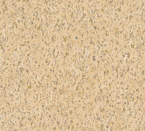 AS Creation New Studio 2.0 | 37389-7 - 373897 - Beige / Goud Behang