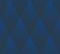 AS Creation New Walls 37419-1 | 374191 - Blauw / Zwart Behang